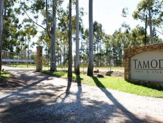 Tamodi Lodge Plettenberg Bay Exterior foto